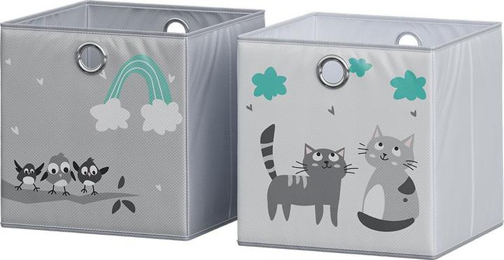 Grey (cats & birds)