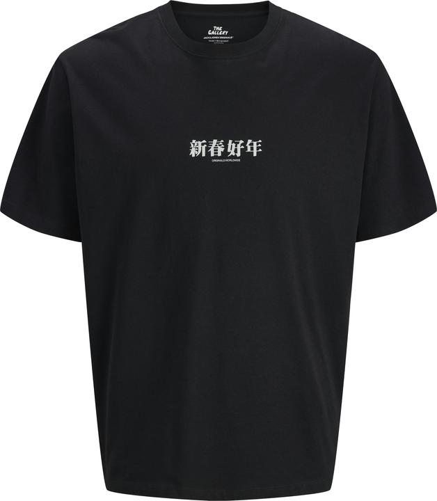 Actual product image Jack & Jones Jorsnake Tee Ss Crew Neck Tg Ln (XL)