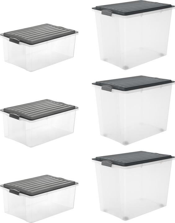 Image du produit Rotho Compact (3x + 3x) (57 x 39.5 x 51 cm, 70 l)