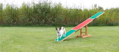 Image du produit Trixie Agility