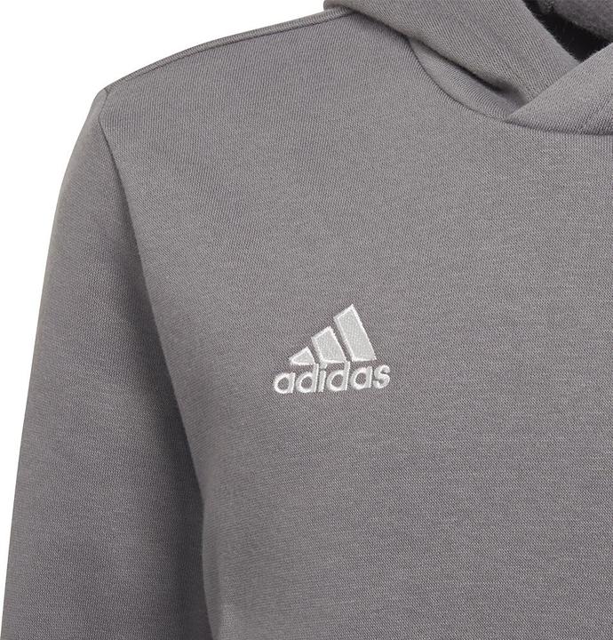 Image du produit adidas Sweat à capuche Entrada 22 enfants (116)