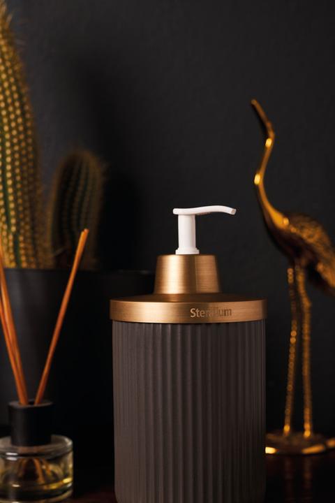 Immagine prodotto Sterillium Protect & Care Emma