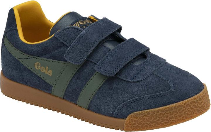 Gola Harrier (26)