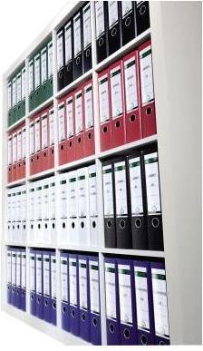 Immagine prodotto Leitz Etichetta dorsale, 39 x 285 mm, lunga, stretta, blu adatta per standard e cartone duro