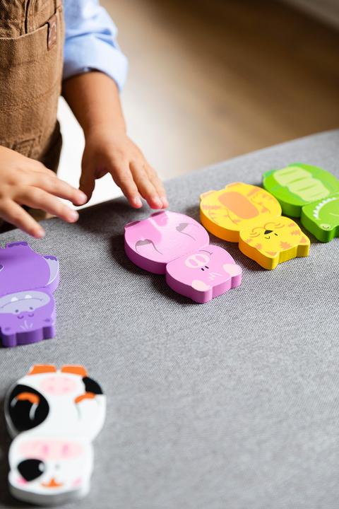 Immagine prodotto Goula Puzzle Animali magnetici (12 pezzi)
