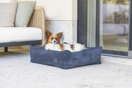 Image du produit Designed by Lotte Ribbed (Chien)