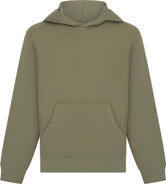 Actual product image SF Childrens/Kids Sustainable Hoodie (146, 152)