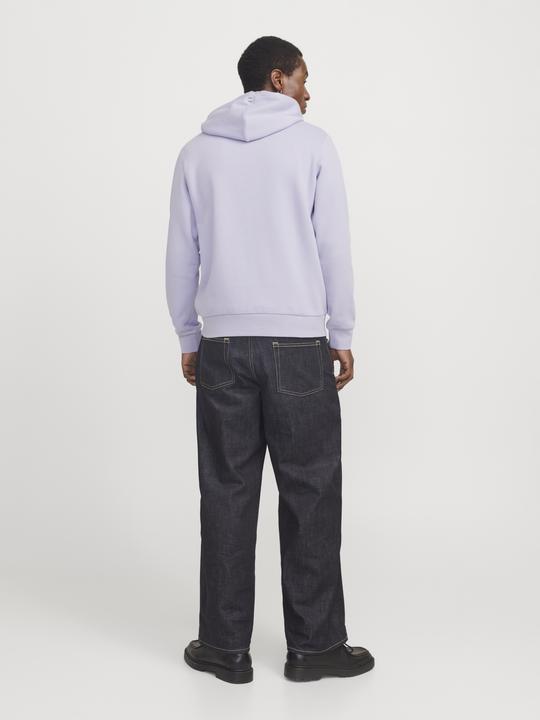 Actual product image Jack & Jones Logo hooded jumper Hooded jumper (XS)