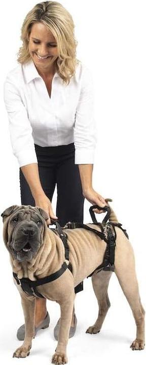 Produktbild PetSafe Ganzkörper-Hundegeschirr (L, Hund, Allgemein, Spazieren)