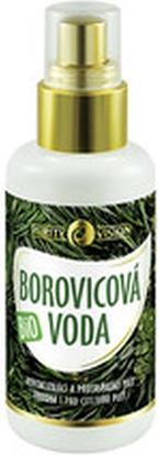 Image du produit Purity Vision - Eau de pin bio - 100ml (100 ml)