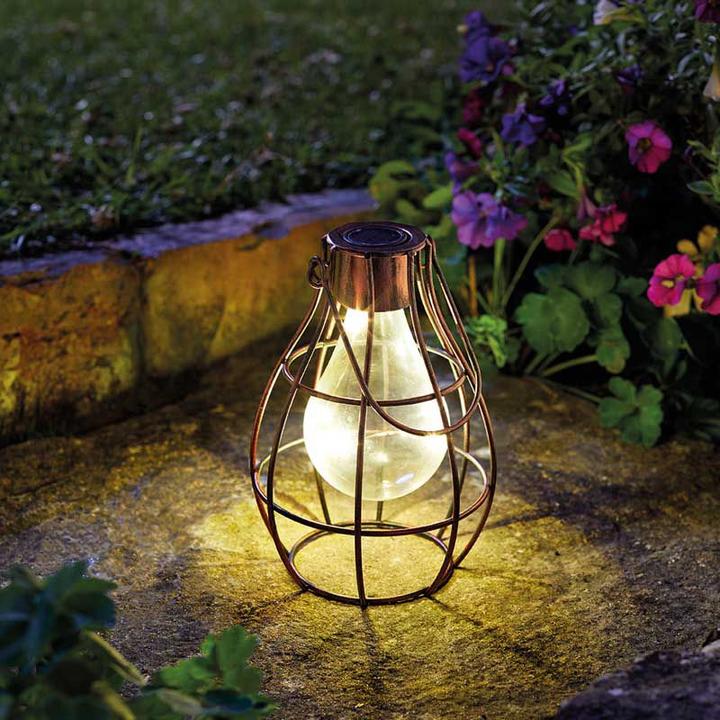 Smart Garden Lampe solaire Eureka Firefly (1 x)