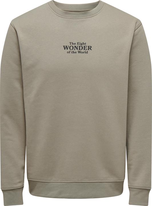 Image du produit Only & Sons ONSCELEBRITY REG CREW NECK SWT Sweat-shirt - 562138 (L)
