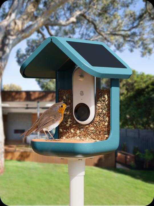 Image du produit Bird Buddy Distributeur de nourriture