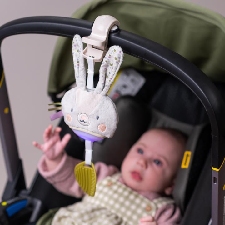 Actual product image Taf Toys Lapin