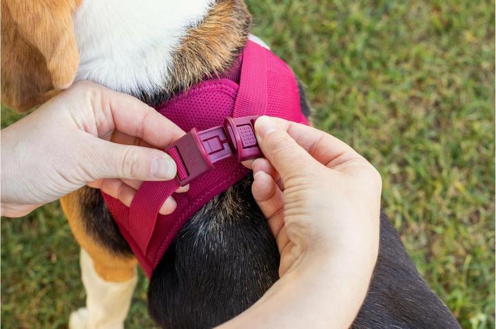 Productafbeelding Curli Harnas Vest Air-Mesh XL, Lichtbruin (XL, Hond, Algemeen)