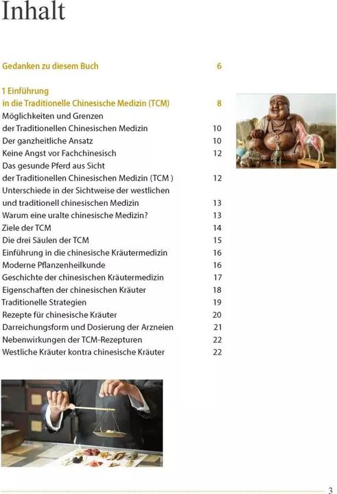 Actual product image Akupunktur beim Pferd (German, Ina Gösmeier, 2022)