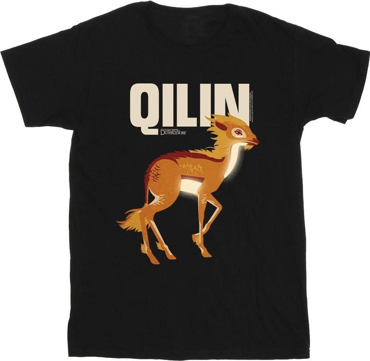 Actual product image Fantastic Beasts Boys Qilin Character T-Shirt (128)