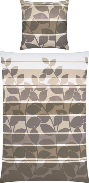 galet taupe