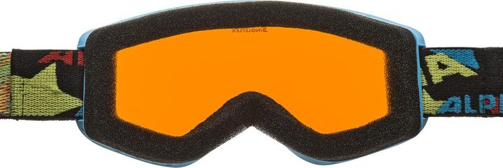 Actual product image ALPINA SPORTS Carvy 2.0