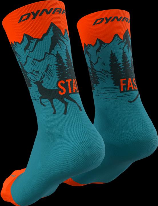 Image du produit Dynafit Chaussettes Stay Fast (39 - 42)