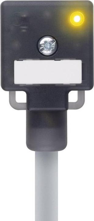 Actual product image Escha Valve connector type A Black VA22-24.3-5/P01 Poles:2+PE bridged 804782