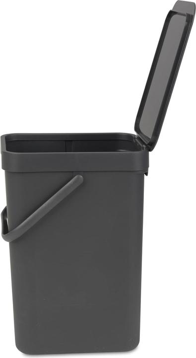 Immagine prodotto Brabantia Ordina e vai (12 l)
