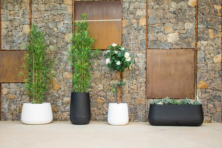 Image du produit Newgarden CAMELIA 60 Blumentopf XXL gross rund ø59x39cm anthrazit 74L aussen