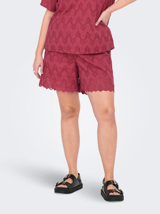 Actual product image Only CARCLEANOR Normal geschnitten Shorts Shorts (48)