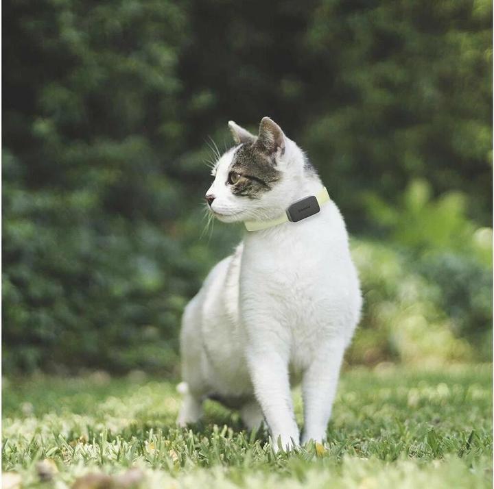 Productafbeelding Invoxia GPS Tracker voor huisdieren (Hond, Kat, Algemeen)