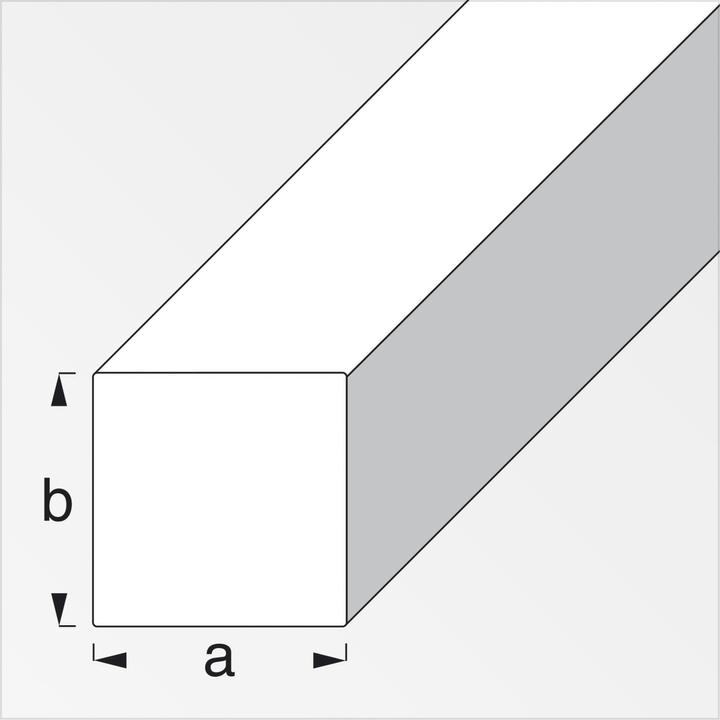 Image du produit Alfer Barre carrée en acier 1m