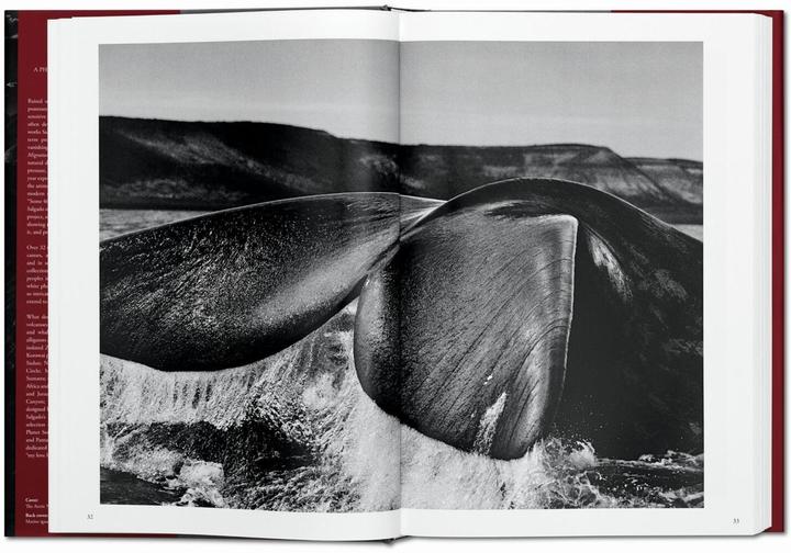 Produktbild Sebastião Salgado. Genesis (Deutsch, Lélia Wanick Salgado, 2013)