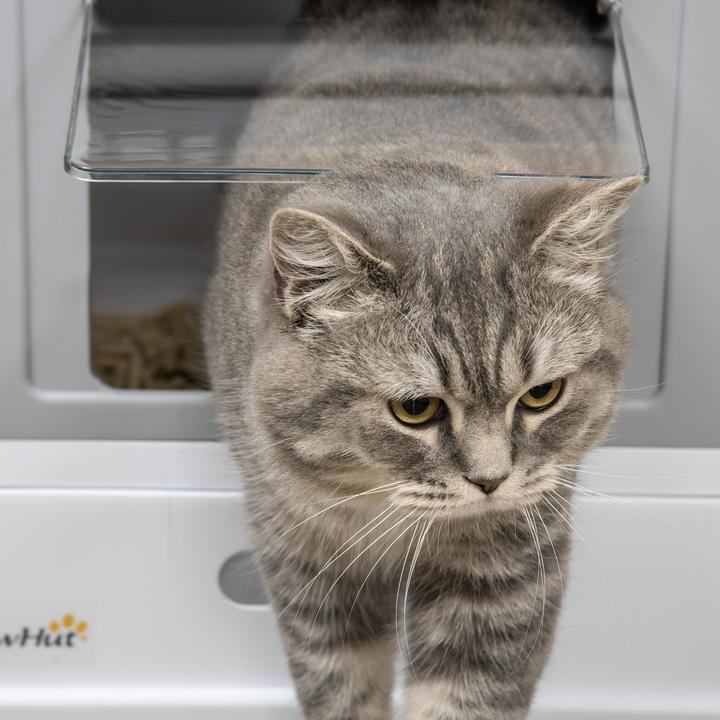 Actual product image PawHut Cat litter tray with pull-out drawer (Cat litter tray open)