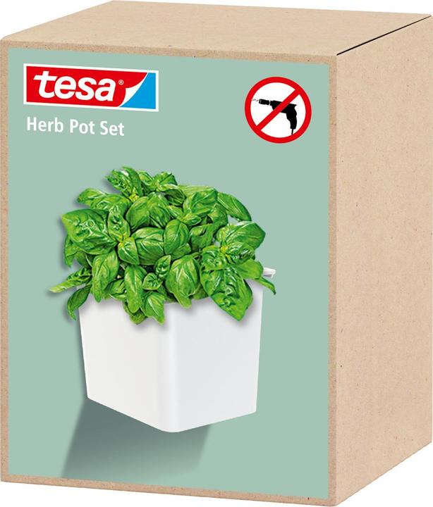 Immagine prodotto tesa Vaso per erbe aromatiche (13.50 cm)