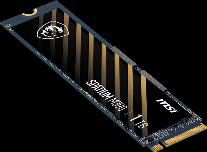 Actual product image MSI Spatium M390 (1000 GB, M.2 2280)