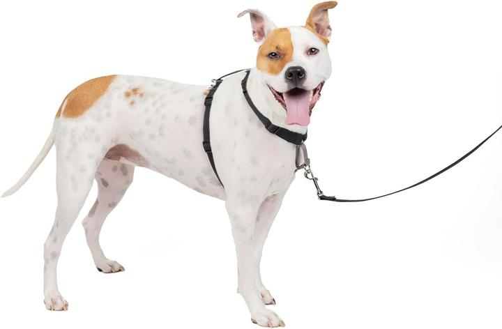 Produktbild PetSafe 3-in-1-Geschirr und Rückhaltegurt (M, Hund, Spazieren, Allgemein)