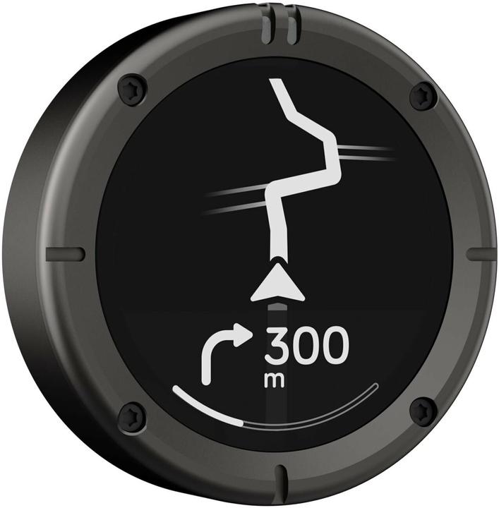 Beeline Moto 2 (1.45")