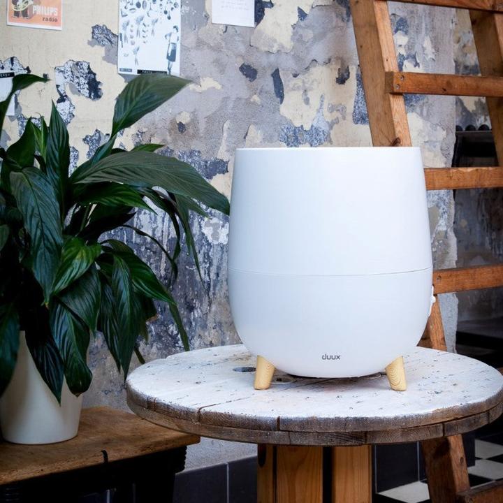 Actual product image Duux Ovi (30 m²)