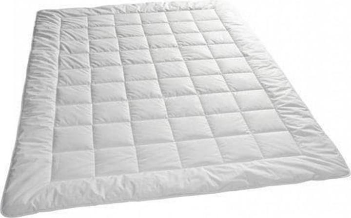 Produktbild Billerbeck Bamboo Light (740 g, 160 x 210 cm)