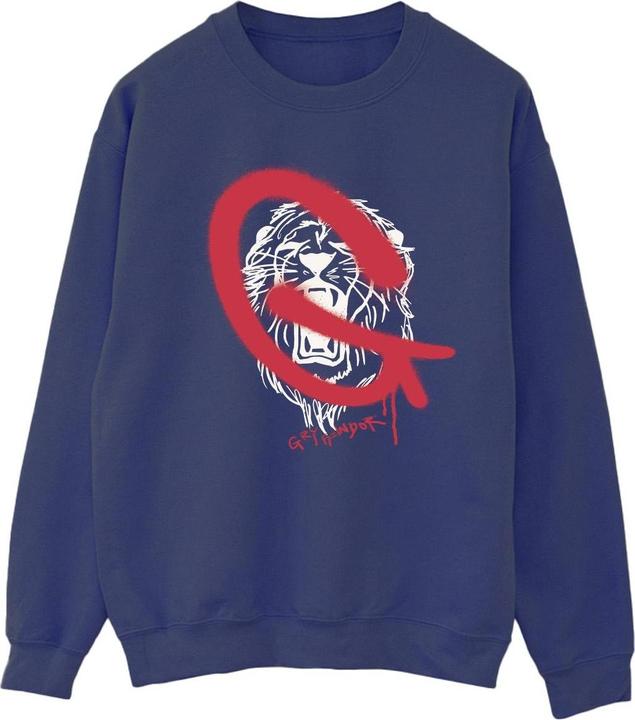 Produktbild Gryffindor Pop Spray Sweatshirt (XL)