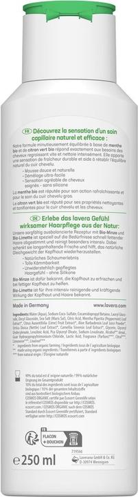 Produktbild Lavera Shampoo Frische & Balance fettendes Haar Fl 250 ml (250 ml, Flüssiges Shampoo)