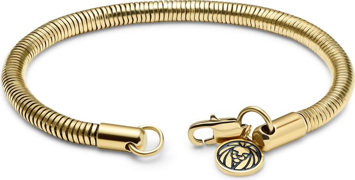 Actual product image Lucleon Essentials (Stainless steel)