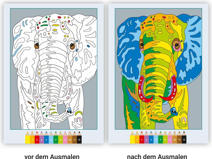 Immagine prodotto Ravensburger CreArt Pittura per numeri Animali selvatici