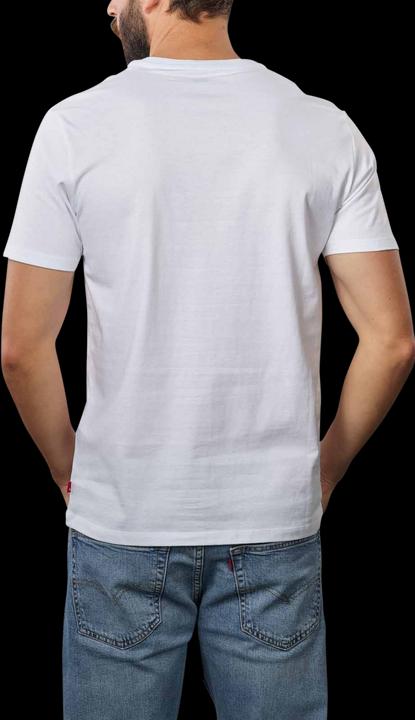 Actual product image Levis T-shirt (M)