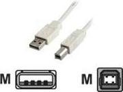 Image du produit Value USB 2.0 (1.80 m, USB 2.0)