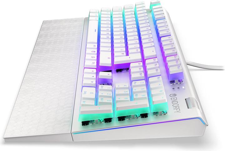 Produktbild Endorfy Keyboard Omnis (DE, Kabelgebunden)