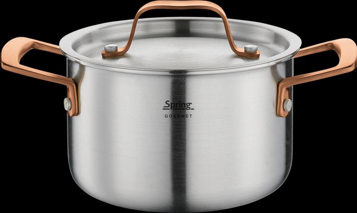 Immagine prodotto Spring Casseruola gourmet oro rosa (Pentola)