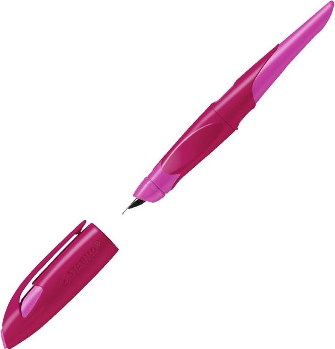 Actual product image STABILO Ergonomic school fountain pen for right-handers with beginner nib A - EASYbirdy in (Pink, Berry, 1 x)