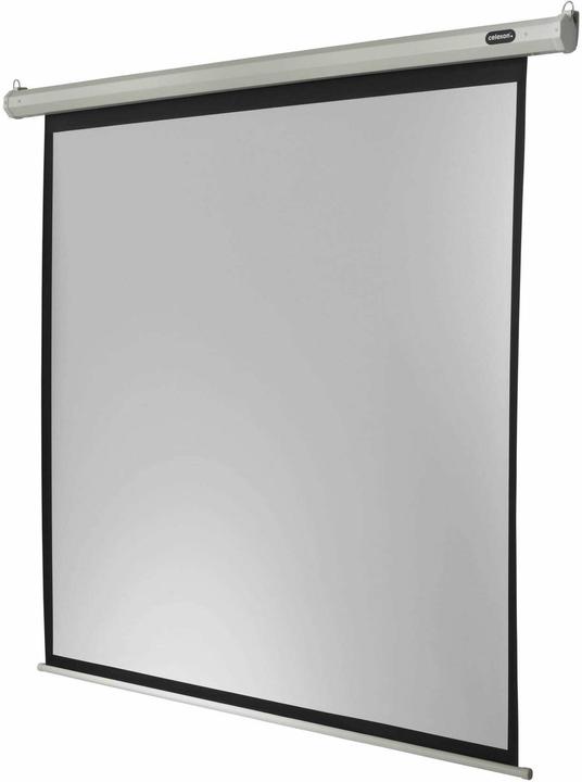 Celexon Motor Economy, Leinwand, 1:1 (100.24", 1:1)