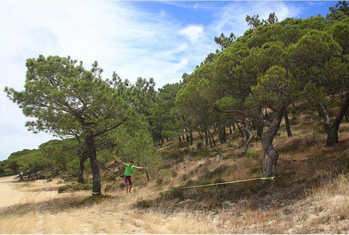 Produktbild Neutral Slackline, HQ Inspiration - 390250 (15 m)