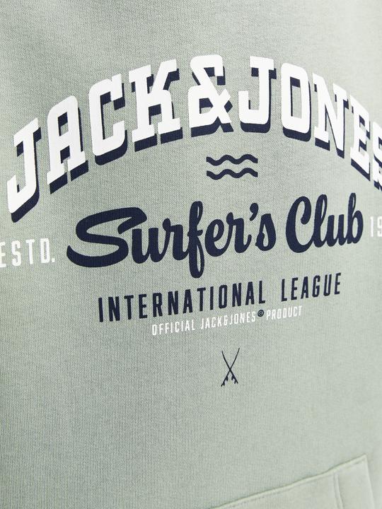 Produktbild Jack & Jones JJELOGO SWEAT HOOD 2 COL 24/25 NOOS JNR (152)